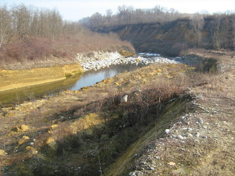 Pliocene biellese